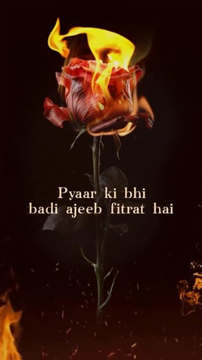 Sanchita Bashu on Instagram: "Aaj unn sabko bhi Happy Valentine’s day, jinke pyaar ko thukraya gaya... #ThukraKeMeraPyaar"
