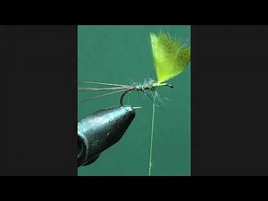 Lesson 7 - Part 1 - Fan Wing May Fly by Mark Turner