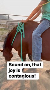 Last nights horsemanship lesson #laydown #liberty #trainingthrutrust #naturalhorsemanship #horsetraining #dreamhorse | Training Thru Trust- The Doug Mills Method