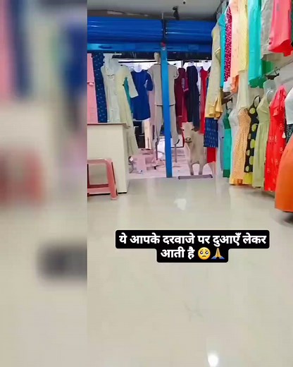 1.5K views · 20 reactions | Hindi Portal on Reels | Facebook