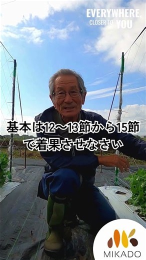 🌱達人直伝！ニムラサラダスナップを失敗しない育て方【花摘みの秘密】 #ヴィルモランみかど #おいしい野菜の種