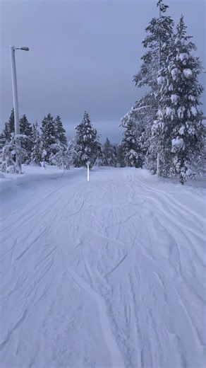 Delicious Toast Recipes to Satisfy Your Cravings