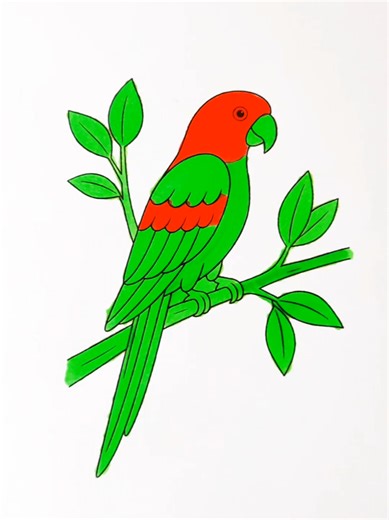 Bright & Beautiful SMR Parrot: A Colorful Bird Experience