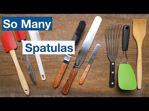 🔵 What's with all the Spatulas?