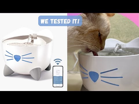 Catit PIXI Smart Fountain Review- what's special about it?