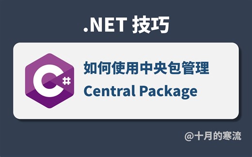 如何在DOTNET项目中使用中央包管理（CPM）