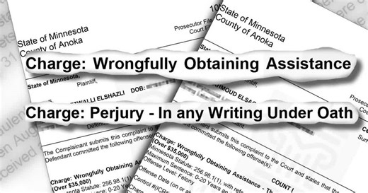 Anoka County couple charged in $800K public benefits fraud probe