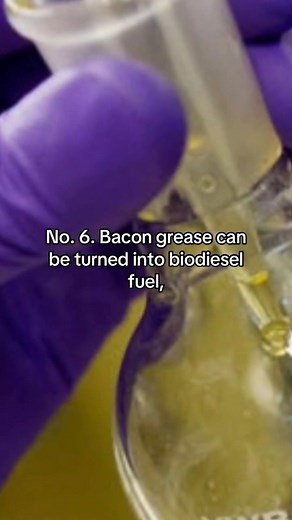 Follow for more! ,😌#fyp #foryou #foryoupage #History #food | The History Hub