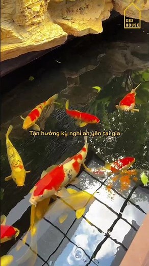 Tận hưởng Không Gian Cực Chill Do SBS Thiết Kế