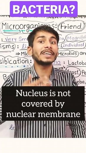 What is Bacteria? | Microorganisms Friend And Foe | Class 8 science chapter 2 #class8science #class8