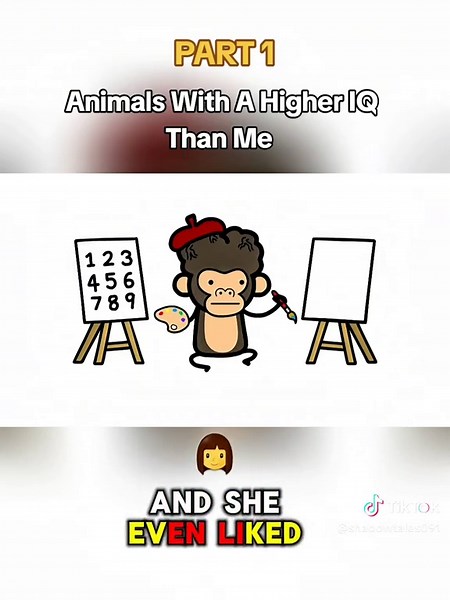 Animals with a Higher IQ: Discovering Smart Species