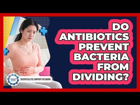Do Antibiotics Prevent Bacteria From Dividing?