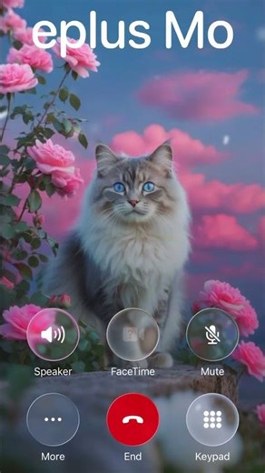 Oneplus ringtone & Cute Kitty 🐱🎶 #catringtone #oneplusringtone #shorts
