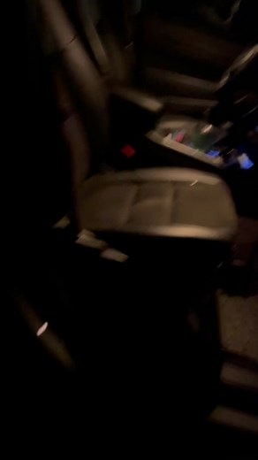 Caring for a New Puppy with Spinal Cord Injury: Labrador Retriever Tips