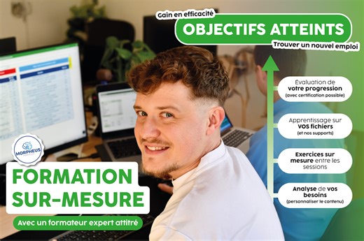 Base de données Excel : créer et analyser facilement !| Morpheus Formation