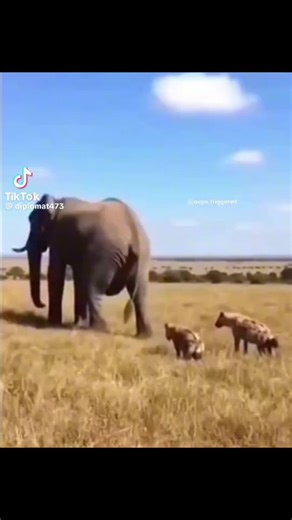 Video by @Oops.triggered on insta video idea from @astroguy #CapCut #fyp #viral #voiceover #funny