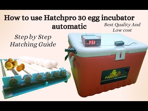 How to use hatchpro 30 egg incubator fully automatic | Step by step hatching process guide