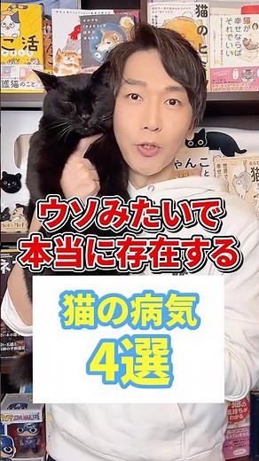 ウソみたいで本当に存在する猫の病気４選 #猫 #猫好き #ねこ