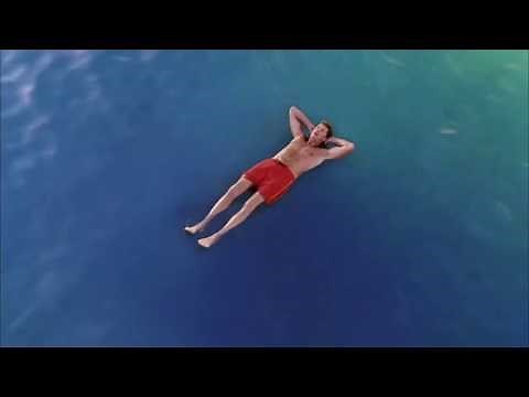 "Lo hiciste bien Hasselhoff... lo hiciste bien" Escena de Bob Esponja: La película