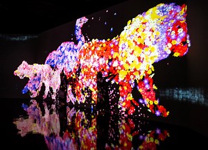 与花共生的动物们 / Animals of Flowers, Symbiotic Lives | teamLab