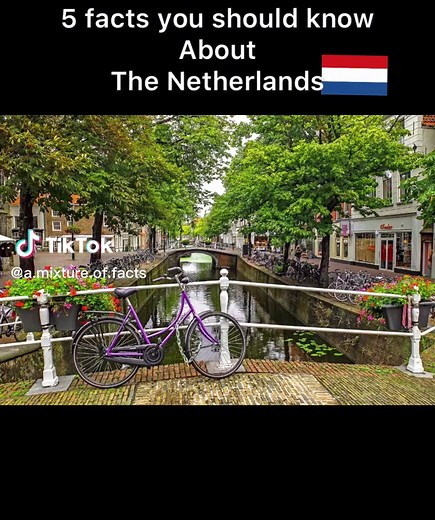 A mixture of facts on TikTok