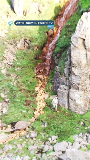 Fishing TV on Instagram: "Is Iceland the world’s best salmon fishery? 🧐 - ‘YOW Icelandic for Yes’ on Fishing TV Copy the link to watch now! https://www.fishingtv.com/video/yow-icelandic-for-yes/ Iceland - volcanoes, glaciers, amazing trout and salmon fishing, and... surfing?! Ja (pron. “Yow”) is Icelandic for “Yes”, and is raw expression of exuberance. But for Shane Stalling - a fly fisherman from Montana - and his friend Elli Thor Magnusson - a surfer from Iceland - it is a feeling, a lifestyl