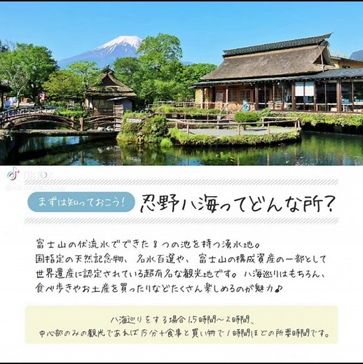 これぞ日本！な美しい風景、目を奪われるような神秘的な池、忍野八海で心洗われるような感動を🗻✨ リーズナブルで美味しいグルメもぜひお楽しみください♪ ⁡ 忍野八海に行ったことがある方は、おすすめのスポットや食べ物、感想などぜひコメントで教えてくださいね😊 ⁡ ーーーーーーーーーーーーーーー VISION GLAMPING Resort & Spa 山中湖 山梨県南都留郡山中湖村山中字栗木林1385-43 ーーーーーーーーーーーーーーー ⁡ #ビジョングランピングリゾート山中湖 #絶景 #山梨旅行 #山梨観光 #忍野八海