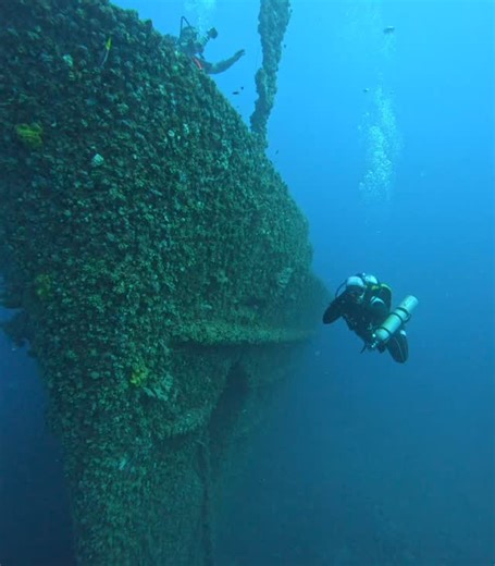 Call of the deep. Training to dive relaxed. | Miami Buceo