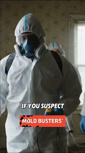 Jordan Peterson’s Health Struggle Linked to Mold Exposure