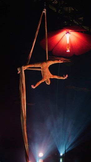 Grace in mid-air ✨ OVO - Cirque du Soleil Book your tickets NOW! 🎪 cirk.me/4kH2Ff8 | Cirque du Soleil