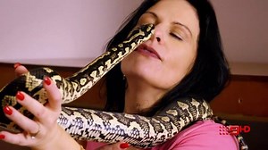6.7K views · 101 reactions | Meet Julia Baker, Australia's most colourful snake catcher!  #9InsideStory | TONIGHT 8.00pm | Channel 9 | Facebook