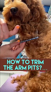 183K views · 703 reactions | ⭐️HIT FOLLOW FOR MORE TIPS! ⭐️Many...