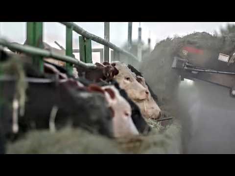 Feeding the Future: Rethinking Farming