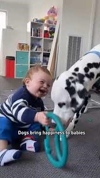 Pure Joy! Cute Puppies and Kids Playing Together At Home 🐶👶