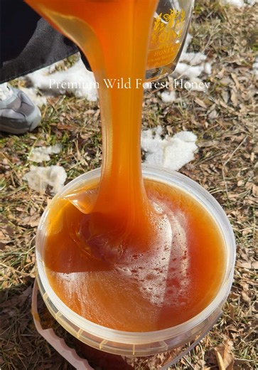 Unfiltered Wild Honey – Nature's Sweet Power