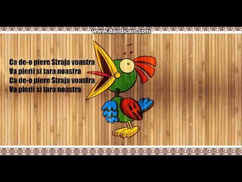 Adda - Canta Cucu Versuri