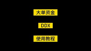 实时盘中大单动向DDX指标插件