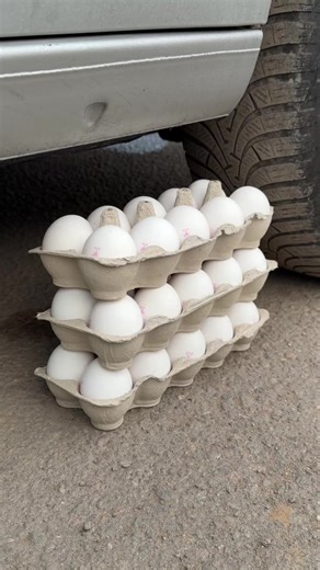 Coca Cola, Fanta, Sprite and Mentos Reaction Experiment