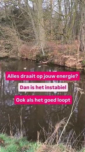 Doe de 5-Minuten Business Energie Scan als je voelt dat dit speelt.