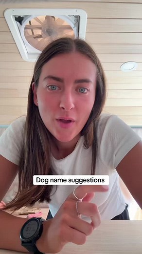 Unique Dog Name Ideas for Your New Border Collie