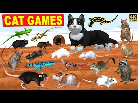 3D TV for Cats 🐱| Mouse in Jerry Hole 🐀| Lizard for Cats to Watch 🦎| Cat Games Mouse & Lizard 4k