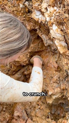 Wait til you see the Phantoms in this Quartz! 🤯💎