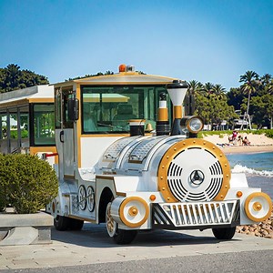 [Hot Item] Fun-Filled Mini Train Carusel Tourist Road Train Rides for Children and Families