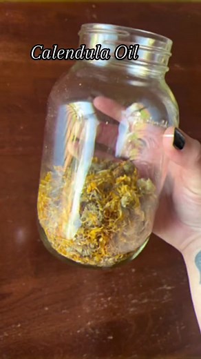 3.5K views · 116 reactions | Calendula oil infusing for 4-6 weeks. This will be used for a salve I’m making. Calendula is used in tinctures, ointments, and washes to treat burns, bruises, and cuts. It’s known for its anti-inflammatory and antiseptic properties, which can help reduce bloating and support healthy digestion. #infusedoil #naturalremedies #antiinflammatory #calendulaskincare | Mystic Moonlight Herbal Creations | Facebook