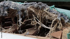 Close up of springs, fabric of old, ripped couch cushion waiting for removal