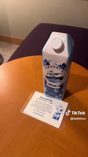 Cerulean Tower Tokyu Hotel Full Review