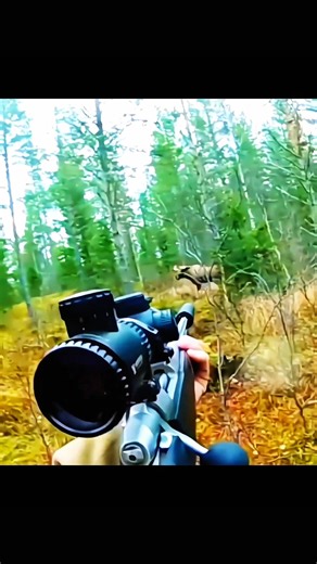 Epic Moose Encounter | Giant Bull Up Close #hunting #moosehunting #deerhunting #wildlife