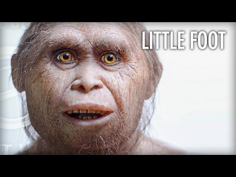 Why Homo Floresiensis May Still Be Around with Dr. Gregory Forth