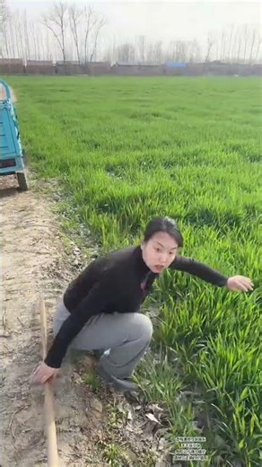 Jiao Jiao's Hilarious Take on Life: Unleashing Laughter with Creativity