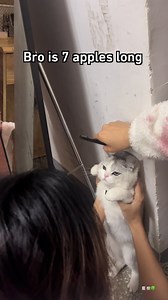 look at that face! | 9GAG TV